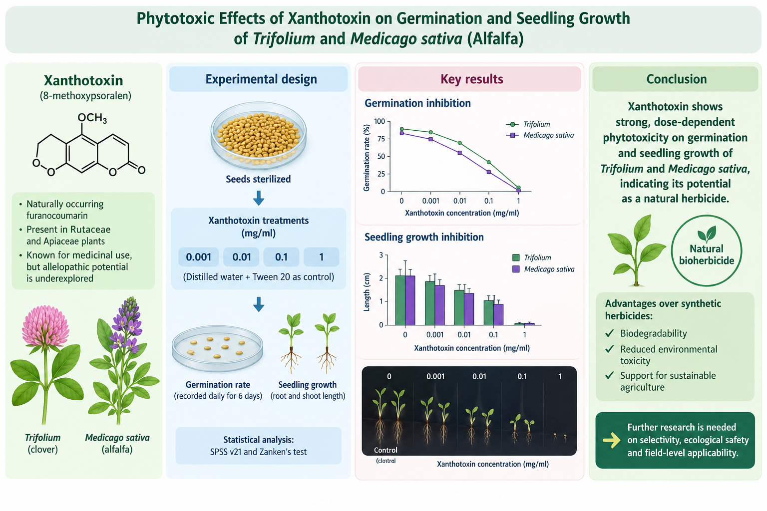 Phytotoxic Effects of Xanthotoxin on Germination and Seedling Growth of Trifolium and Medicago sativa 